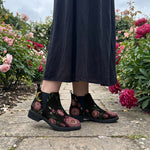 Paeonia