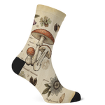 Materia Medica Socks